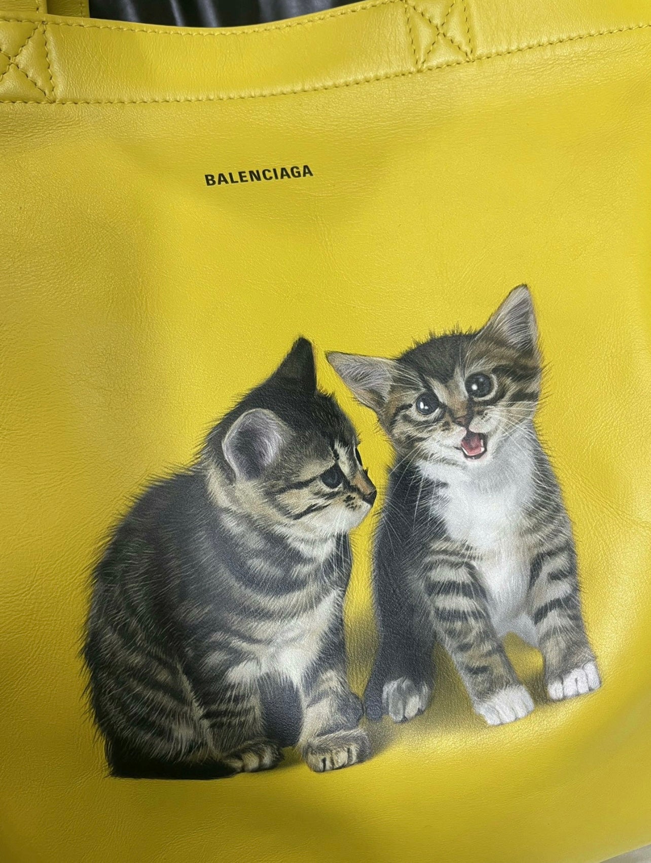 Balenciaga FW18 Leather Cat Tote