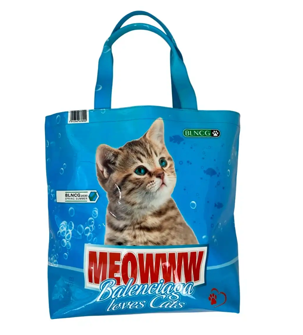 Balenciaga cat bag