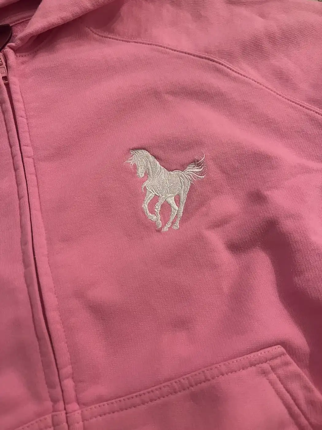 Balenciaga AW22 Pink Polo Hoodie