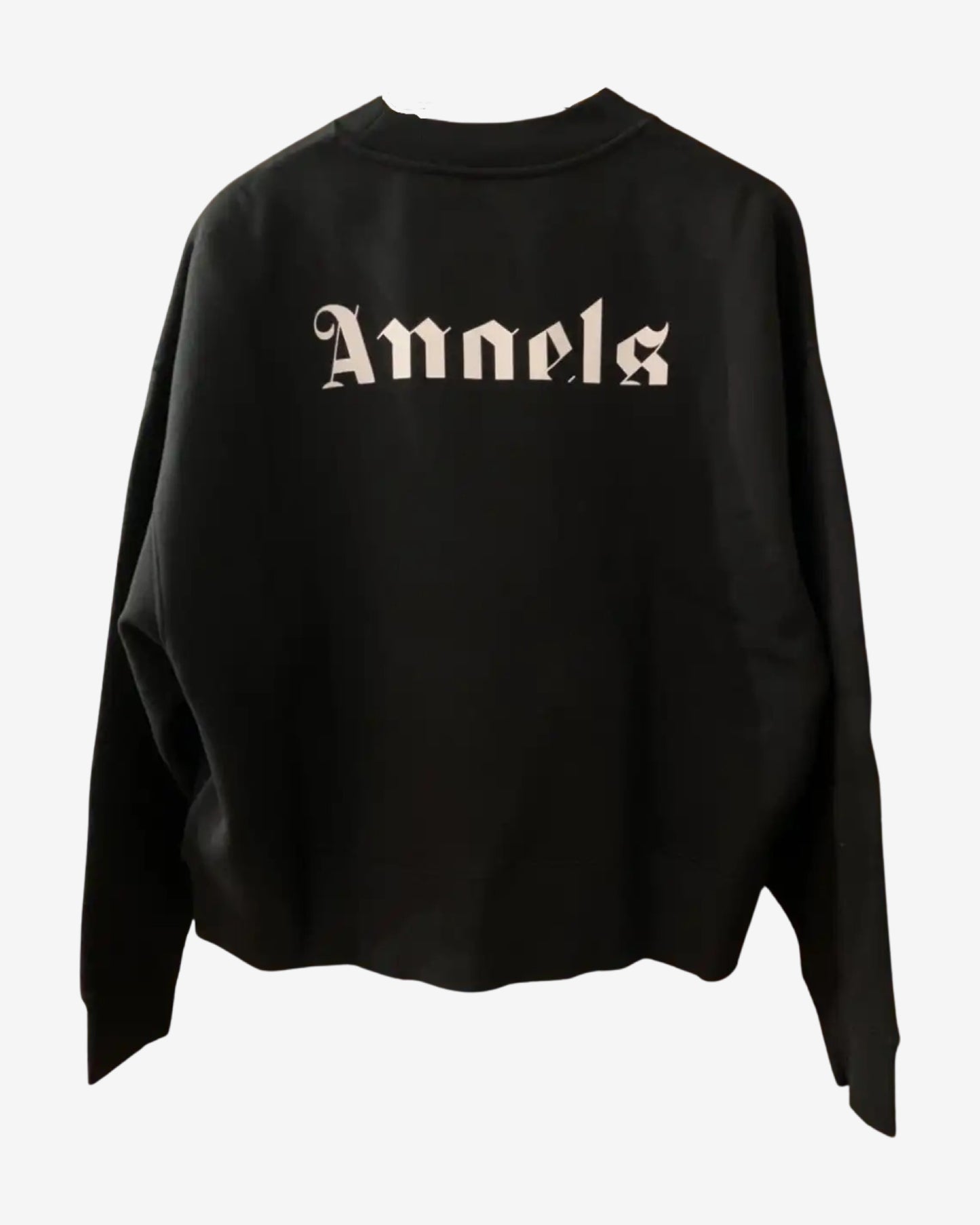 Moncler × Palm Angels Wing sweatshirt